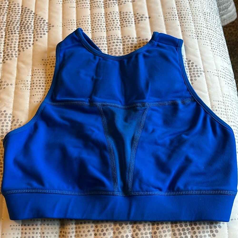 The Chestee Sports Bra